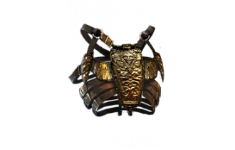 Briskwrap 5L [POE Items]