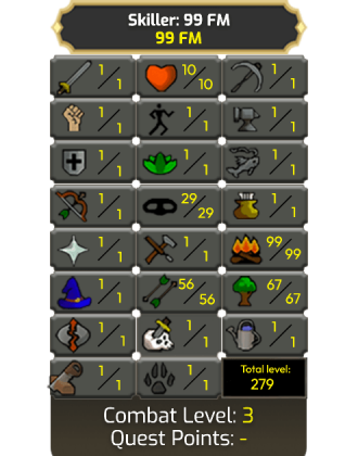 Skiller: 99 FM [Ironman - HCIM]