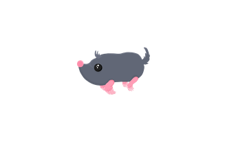 Sado Mole (Adopt Me - Pet) [Adopt Me - Pet]