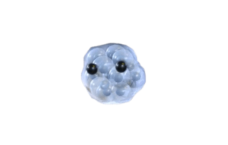 Frogspawn (Adopt Me - Pet) [Adopt Me - Pet]