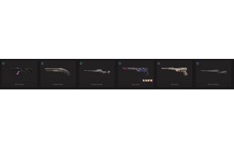 UNIQUE - Unranked - 2x Knife Skins [12 Agents, LVL 100, Reaver Knife and MORE!]