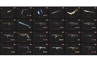 UNIQUE - Unranked - 8x Knife Skins [16 Agents, LVL 83, 2x Champions 2022 Skins  and MORE!]