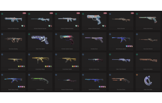 UNIQUE - Unranked - 8x Knife Skins [16 Agents, LVL 83, 2x Champions 2022 Skins  and MORE!]