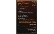 Legendary Boots[*2625 Armor | *135 INT]