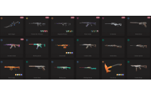 UNIQUE - Unranked - 2x Knife Skins [22 Agents, LVL 63, Protocol 781-a Phantom and MORE!]