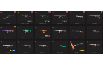 UNIQUE - Unranked - 2x Knife Skins [22 Agents, LVL 63, Protocol 781-a Phantom and MORE!]