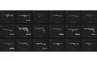 UNIQUE - Gold - 2x Knife Skins [17 Agents, LVL 140, Catrina and MORE!]