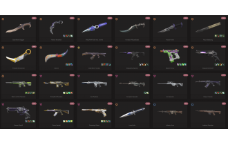 UNIQUE - Unranked - 11x Knife Skins [10 Agents, LVL 274, 2x Elderflame Skins and MORE!]