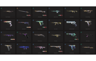 UNIQUE - Unranked - 11x Knife Skins [10 Agents, LVL 274, 2x Elderflame Skins and MORE!]