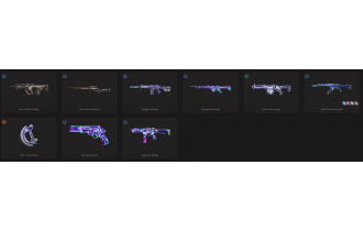 UNIQUE - Unranked - 3x Knife Skins [10 Agents, LVL 77, Rgx 11z Pro Firefly and MORE!]