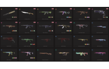 UNIQUE - Unranked - 2x Knife Skins [15 Agents, LVL 56, Recon Balisong and MORE!]