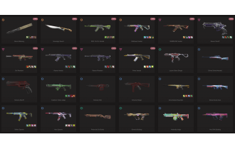 UNIQUE - Unranked - 2x Knife Skins [15 Agents, LVL 56, Recon Balisong and MORE!]