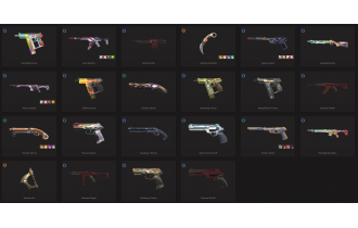 UNIQUE - Diamond - 3x Knife Skins [19 Agents, LVL 169, 5x Rgx 11z Pro Skins and MORE!]