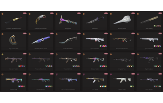 UNIQUE - Platinum - 12x Knife Skins [LVL 175, Champions 2021 Karambit and MORE!]