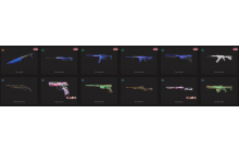 UNIQUE - Unranked - 1x Knife Skin [4 Agents, LVL 8, 5x Prism Skins and MORE!]