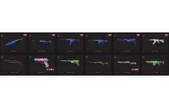 UNIQUE - Unranked - 1x Knife Skin [4 Agents, LVL 8, 5x Prism Skins and MORE!]