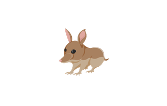 Bandicoot (Adopt Me - Pet) [Adopt Me - Pet]