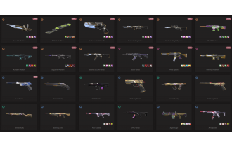 UNIQUE - Platinum - 2x Knife Skins [9 Agents, LVL 42, Rgx 11z Pro Blade and MORE!]