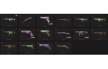 UNIQUE - Gold 2 - 1x Knife Skin [11 Agents, LVL 55, 5x Ruin Skind and MORE!]