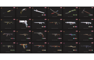 UNIQUE - Unranked - 8x Knife Skins [18 Agents, LVL 232, 2x Champions 2021 Skins and MORE!]