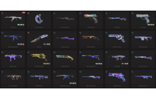 UNIQUE - Gold 2 - 2x Knife Skins [17 Agents, LVL 133, Ion Vandal and MORE!]