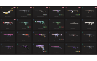 UNIQUE - Unranked - 3x Knife Skins [15 Agents, LVL 72, Prime//2.0 Karambit and MORE!]