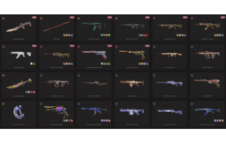 UNIQUE - Unranked - 4x Knife Skins [16 Agents, LVL 90, Elderflame Dagger and MORE!]