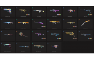 UNIQUE - Ascendant - 5x Knife Skins [13 Agents, LVL 70 and MORE!]