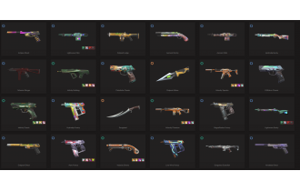 UNIQUE - Unranked - 3x Knife Skins [17 Agents, LVL 193, Neo Frontier Sheriff and MORE!]