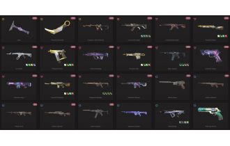 UNIQUE - Iron - 3x Knife Skins [18 Agents, LVL 200, Champions 2022 Phantom and MORE!]