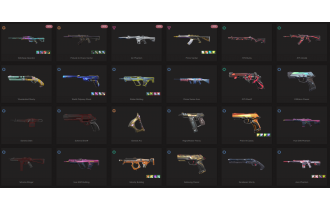 UNIQUE - Unranked - 4x Knife Skins [15 Agents, LVL 283, Glitchpop Operator and MORE!]