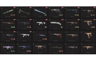 UNIQUE - Bronze - 5x Knife Skins [15 Agents, LVL 85, Rgx 11z Pro Firefly and MORE!]