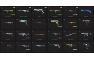 UNIQUE - Silver - 3x Knife Skins [18 Agents, LVL 165, Rgx 11z Pro Vandal and MORE!]