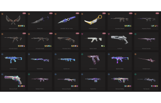 UNIQUE - Diamond - 5x Knife Skins [11 Agents, LVL 45, 5x Primordia Skins and MORE!]