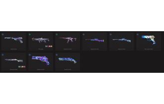 UNIQUE - Diamond - 5x Knife Skins [11 Agents, LVL 45, 5x Primordia Skins and MORE!]