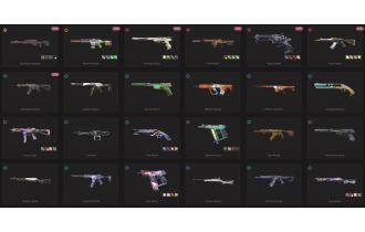 UNIQUE - Unranked - 2x Knife Skins [18 Agents, LVL 250, Elderflame Operator and MORE!]