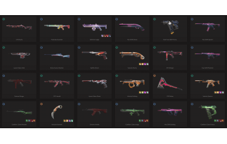 UNIQUE - Unranked - 13x Knife Skins [LVL 56, 5x Prelude To Chaos Skins and MORE!]