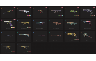 UNIQUE - Unranked - 2x Knife Skins [13 Agents, LVL 50, 2x Champions 2022 Skins  and MORE!]