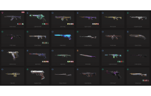 UNIQUE - Platinum - 2x Knife Skins [11 Agents, LVL 95, Reaver Vandal and MORE!]