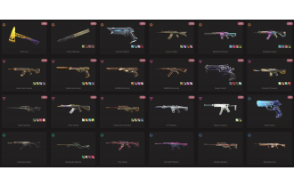 UNIQUE - Diamond - 5x Knife Skins [18 Agents, LVL 99, Prime Axe and MORE!]