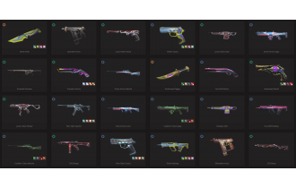 UNIQUE - Diamond - 5x Knife Skins [18 Agents, LVL 99, Prime Axe and MORE!]