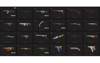 UNIQUE - Silver 3 - 2 Knife Skins [15 Agents, LVL 56, Prime Vandal and MORE!]