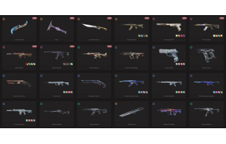 UNIQUE - Silver - 4x Knife Skins [11 Agents, LVL 78, Luna Descent and MORE!]