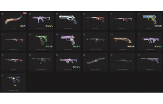 UNIQUE - Unranked - 2x Knife Skins [16 Agents, LVL 113, Catrina and MORE!]