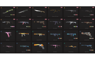 UNIQUE - Gold - 4x Knife Skins [17 Agents, LVL 60, Champions 2023 and MORE!]