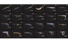 UNIQUE - Silver - 6x Knife Skins [19 Agents, LVL 291, 2x Rgx 11z Pro Skins and MORE!]