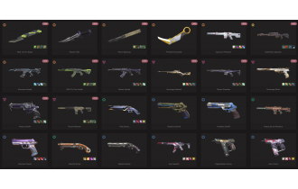 UNIQUE - Silver - 6x Knife Skins [19 Agents, LVL 291, 2x Rgx 11z Pro Skins and MORE!]