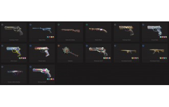 UNIQUE - Silver - 6x Knife Skins [19 Agents, LVL 291, 2x Rgx 11z Pro Skins and MORE!]