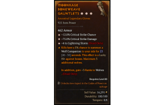 Legendary Gloves[LightningStorm | *4 LightningStorm | *12 Crit | *75 DMG_Crit]