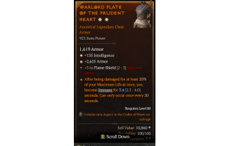 Legendary Chest Armor[Sorcerer | *2625 Armor | *135 INT | 3 FlameShield]